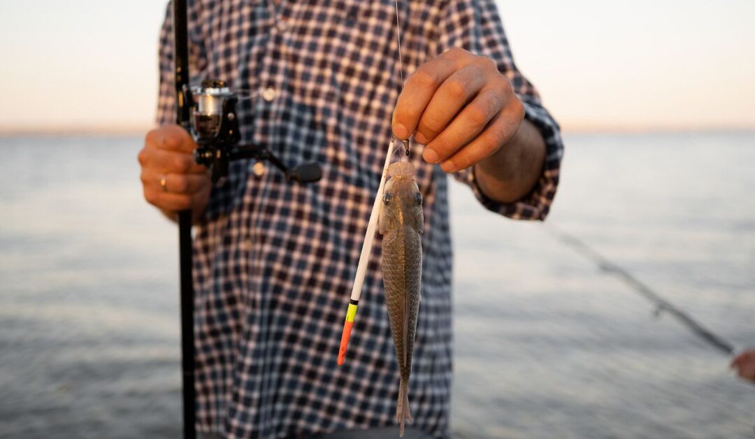 The Ultimate Guide to Electronics & Fish Finders for Serious Anglers
